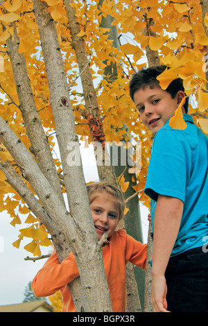 boy and girl in the tree Stock Photo - Alamy