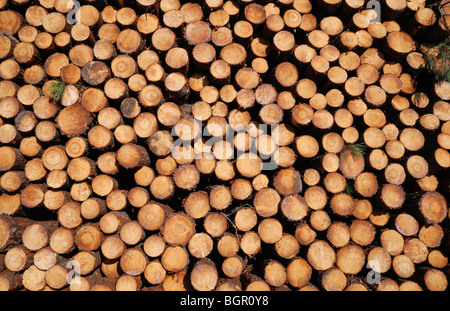 Many cuts of sawed logs form wood stack background. Stock Photo