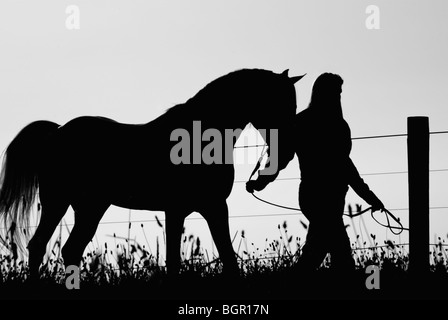 Stock black and white photo of a woman walking her horse in silhouette along a fenceline. Stock Photo