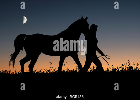 Stock image of woman leading horse against sunset sky with moon, black areas are a cut out, composite image. Stock Photo