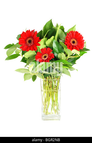 Gerbera flowers in a vase isolated Stock Photo