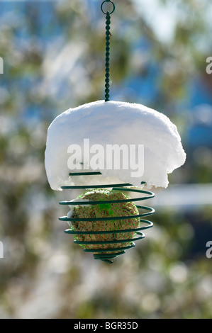 Fat ball bird feeder covered in snow Stock Photo