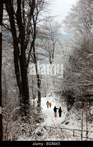 people walks through a snowy forest, Essen, NRW, Germany. Stock Photo