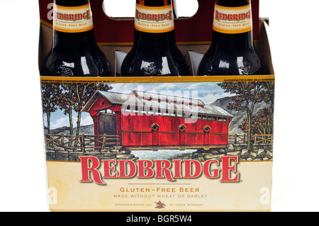 A six pack  of bottles of Redbridge gluten-free beer closeup on a white background Stock Photo