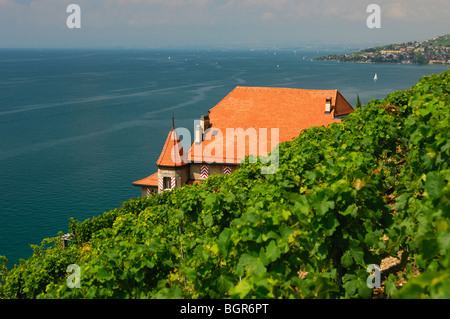 Wine-growing estate Clos des Abbayes, UNESCO World Heritage site Lavaux at Lake Leman, Vaud, Switzerland Stock Photo