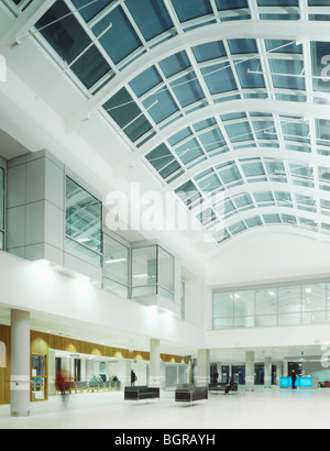 THE BEXLEY WING ST JAMES'S UNIVERSITY HOSPITAL, LEEDS, UNITED KINGDOM, ANSHEN + ALLEN Stock Photo