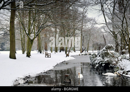 Park bench in snow covered woods in Bushy Park London Stock Photo