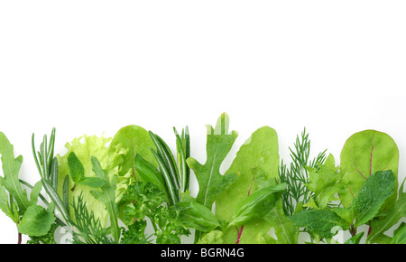 herbs for seasoning on the edge of the image on a white background Stock Photo