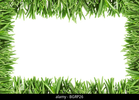 The leaves of rosemary on the edge of the photos as a framework. Stock Photo