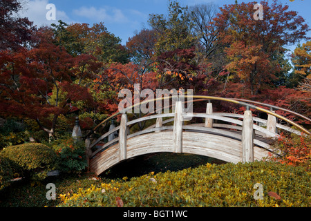 Footbridge in a Japanese garden, Fort Worth Texas, USA Stock Photo