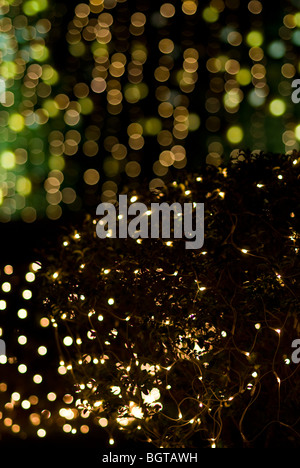 holiaday lights Effects Sparkling  Backgrounds Stock Photo