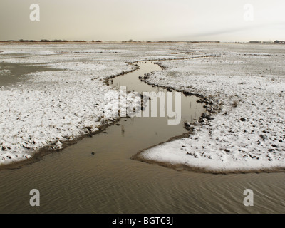 Marshside RSPB Reserve, in frozen conditions, Southport, Lancashire, UK, winter 2009 Stock Photo