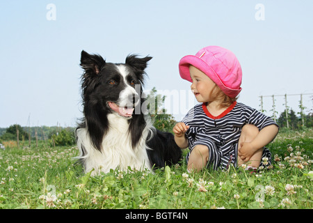 Border Collie dog and girl on meadow Stock Photo