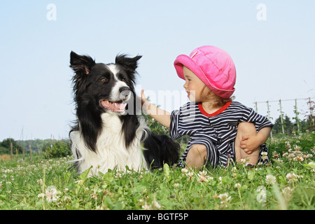 Border Collie dog and girl on meadow Stock Photo