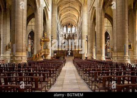 The Auch Cathedral / Cathédrale Sainte-Marie d'Auch, Gers, Midi