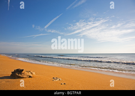 Early morning light on the rich colored sand and surf of the beach Stock Photo