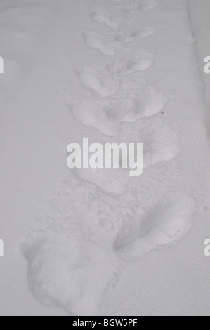 Footsteps in snow Stock Photo