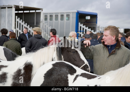 People with Gypsy Cob horses at Stow Fair, Stow-on-the-Wold, Gloucestershire, England, UK Stock Photo