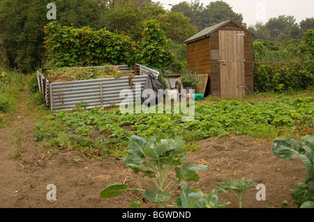 Allotment plot showing compost heap and wooden shed and in the background, runner beans and a strawberry bed in the foreground Stock Photo