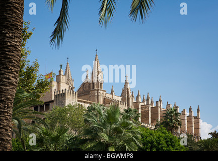 La Seu cathedral  in Palma de Mallorca, Spain seen through palm trees Stock Photo