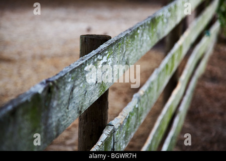 old wooden fence on a diagonal angle Stock Photo