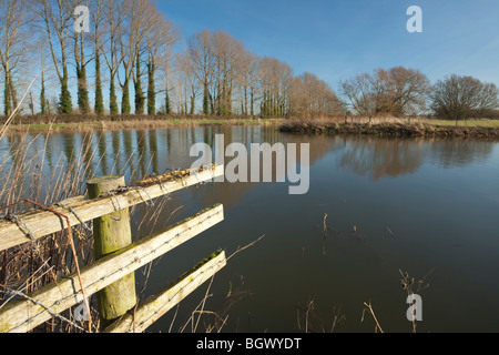 The River Thames downstream of Buscot Lock, Oxfordshire, Uk Stock Photo