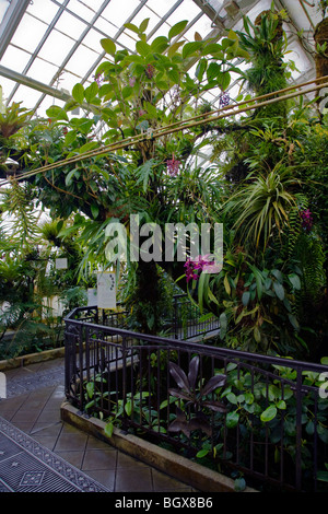 The CONSERVATORY OF FLOWERS is a botanical greenhouse located in GOLDEN GATE PARK - SAN FRANCISCO, CALIFORNIA Stock Photo