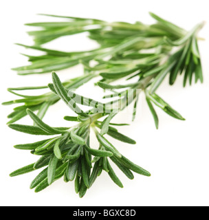 The branch of rosemary on a white background Stock Photo