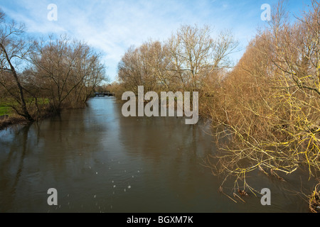 The River Thames from the footbridge downstream of Buscot Lock and Weir, Oxfordshire, Uk Stock Photo