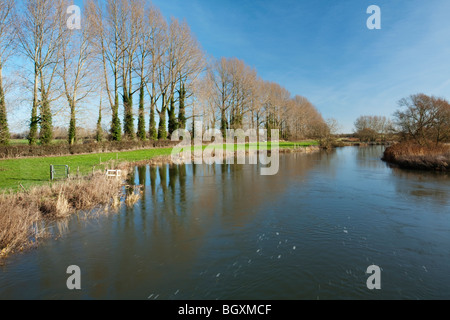 The River Thames from the footbridge downstream of Buscot Lock and Weir, Oxfordshire, Uk Stock Photo