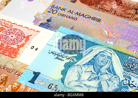 North African Currency. Stock Photo