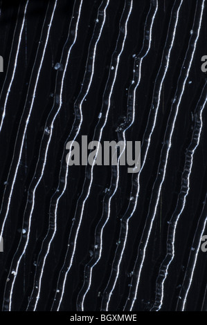 The grooves on a 45RPM stereo single vinyl record photographed at 25x resolution Stock Photo