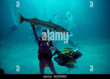 Close-up of divers interacting with Giant Great Barracuda (Sphyraena barracuda) Stock Photo