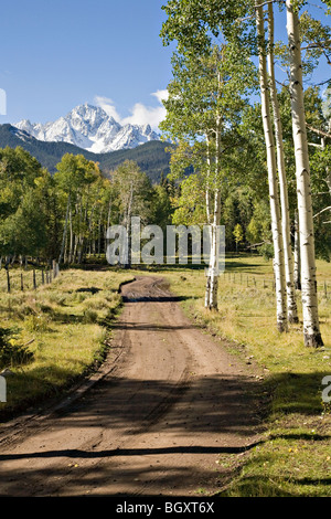 A dirt road winding through aspen-lined meadows to Mt. Sneffels Stock Photo