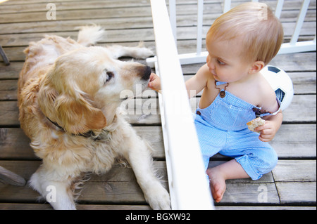 Baby boy playing with the family dog Stock Photo