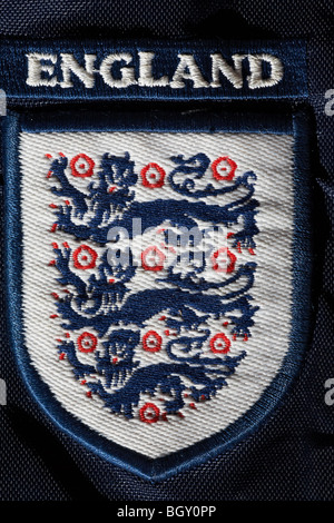 Three Lions png images | PNGEgg