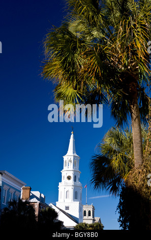 Palmetto tree with white steeple of St. Michael's Church, Broad Street, Charleston, South Carolina, United States of America. Stock Photo