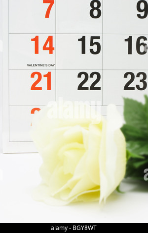 Yellow rose next to calendar page showing Valentine's day Stock Photo