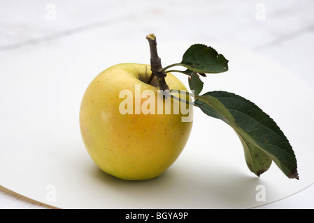 Golden delicious apple Stock Photo