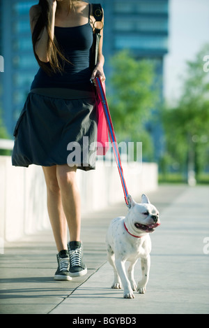 Young woman walking dog Stock Photo