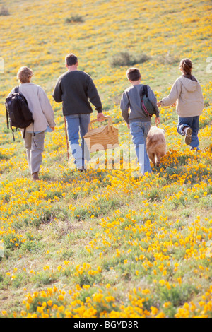 Family hiking in field of wildflowers Stock Photo