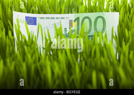 100 euro bill in grass Stock Photo