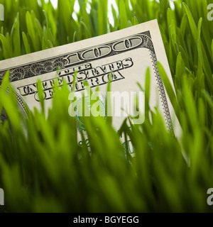100 dollar bill in grass Stock Photo