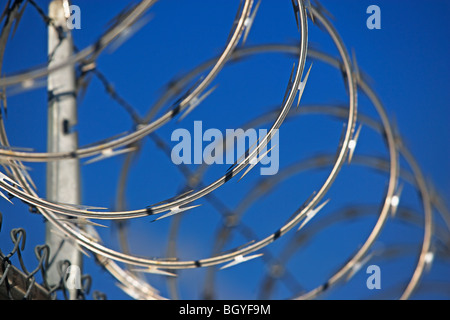 Barbed wire fence Stock Photo