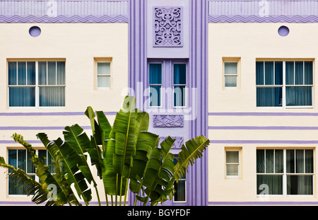 Plant and exterior of building Stock Photo