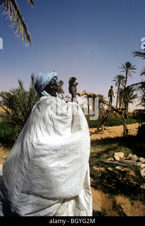 Pumping water out of a near-dry well in a half-dead palm grove in Chinguetti - interior of Mauritania. Stock Photo