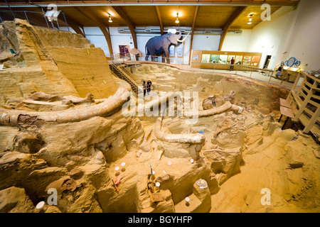 The Mammoth Site Museum, Hot Springs SD. Visitors looking into the bonebed with mammoth bones tusks fossils in paleontology dig. Stock Photo