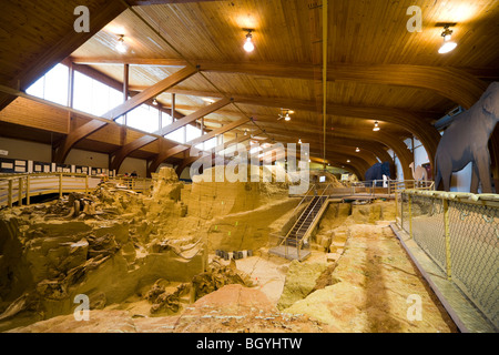 The Mammoth Site Museum, Hot Springs SD. Interior view of the bonebed with mammoth bones tusks fossils in paleontology dig. Stock Photo