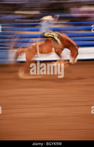 Bronco riding Stock Photo