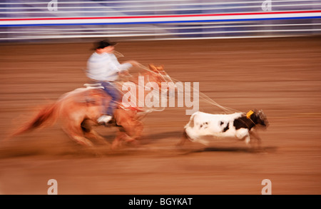 Calf roping Stock Photo